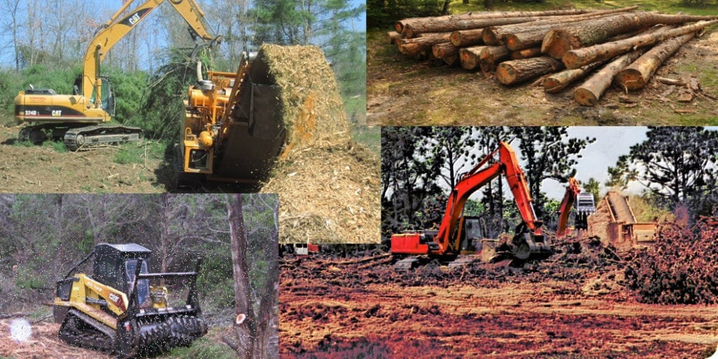 Logging And Land Clearing Image